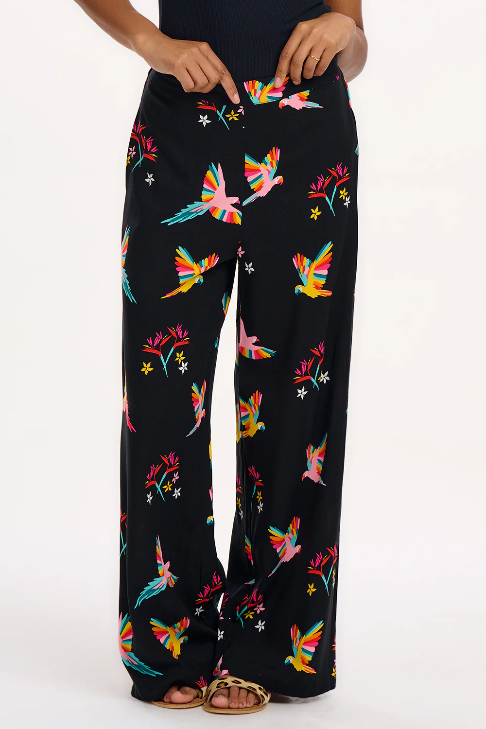 Patsy Palazzo Pants - Black, Tropical Parrots - Image 2